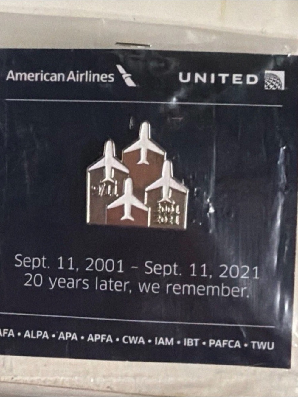 Commemorative 20th Anniversary Pin - Silver and Brown
